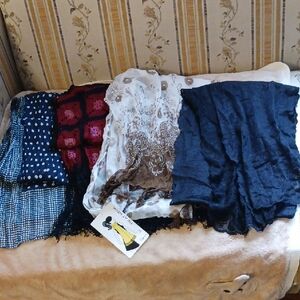 Set Of 4 Elegant Multicolor Women's Scarves Set